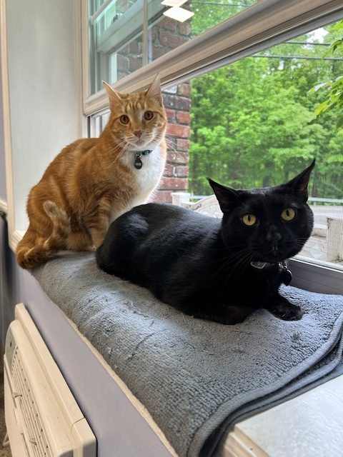 Charlotte & Archie